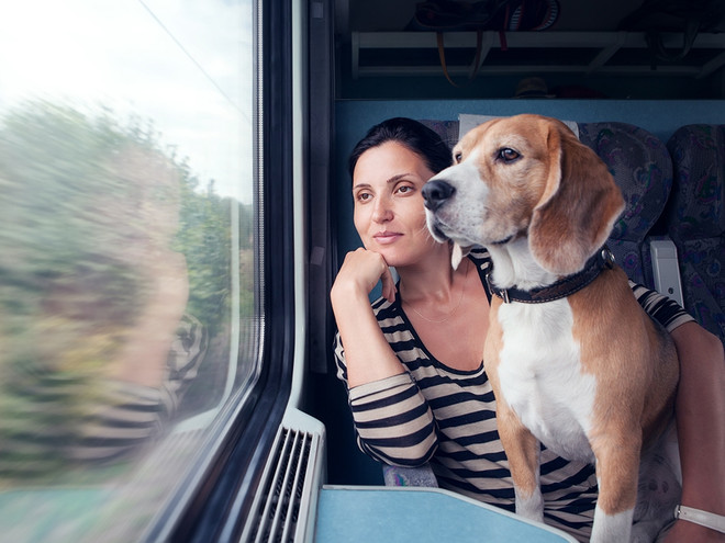 Путешествие с собакой на поезде