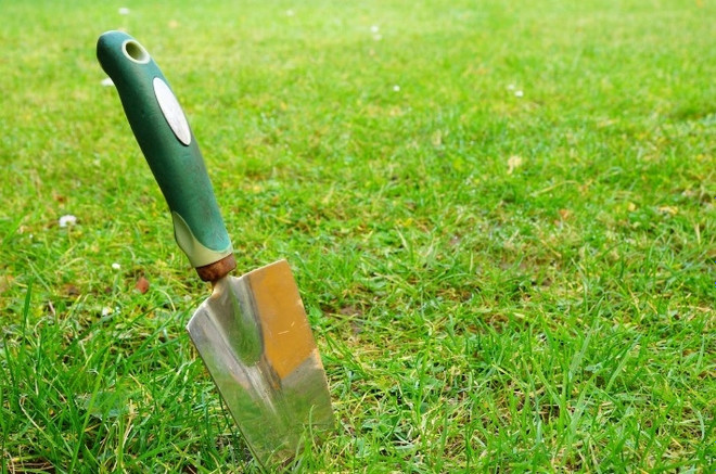 Быстро обустроить газон своими руками можно, посеяв газонную траву (смесь) или использовать рулонное покрытие. 