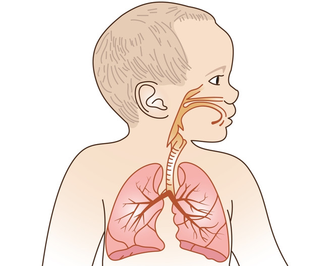 Нормы частоты дыхания у детей