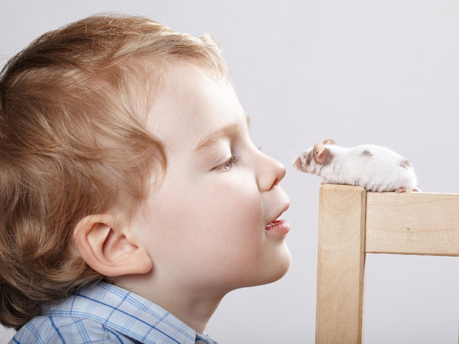 Сигналы: как распознать агрессию в ребенке по отношению к животным — и что делать дальше