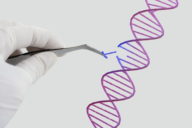Как образуется «поломка» в геноме