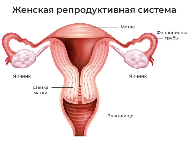 фиброматоз матки причины