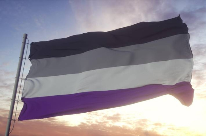 флаг асексуалов
