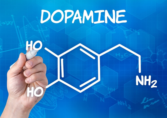 Недостаток дофамина провоцирует обжорство