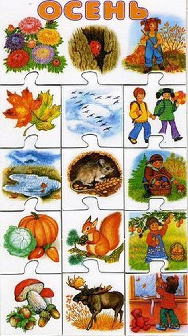 Схема описания осени. Признаки осени для дошкольников. Осень карточки для детей. Предметы осени для дошкольников. Осень картинки для дошкольников.
