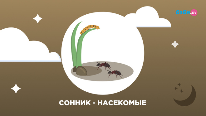 К чему снятся насекомые