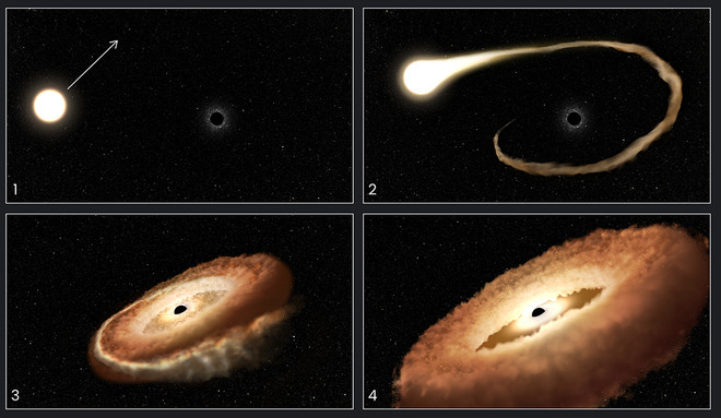 Чёрная дыра поглощает звезду. Фото: NASA, ESA, Leah Hustak (STScI)