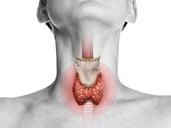 Как гормон щитовидной железы влияет на вес