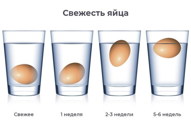 Опустите яйцо в стакан с водой и понаблюдайте за ним.