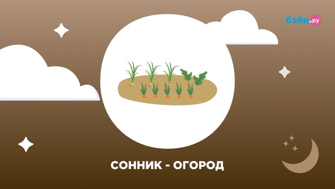 К чему снится 😴 Огород во сне — по 90 сонникам! Если видишь во сне Огород что значит?