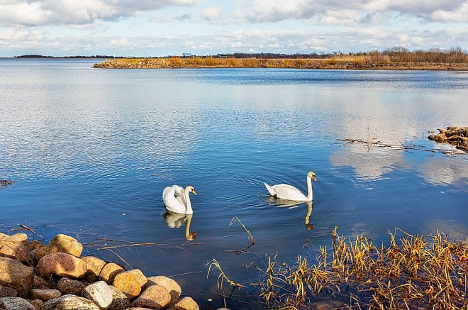 Чудско-Псковское озеро