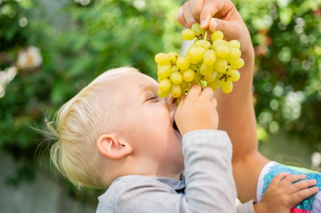 можно ли детям виноград