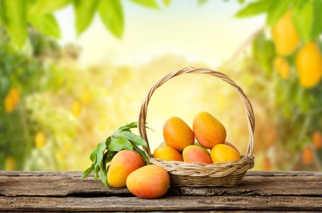 Как вырастить манго