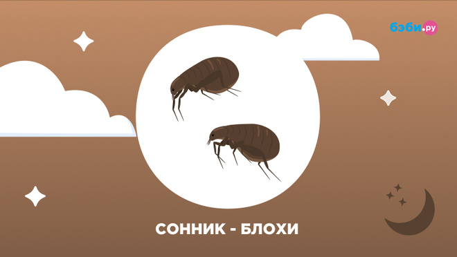 К чему снятся блохи