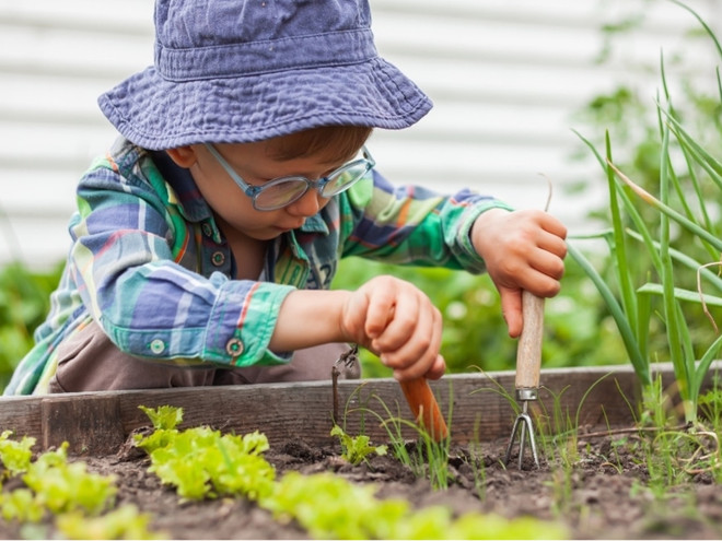 Как вырастить огород вместе с ребенком