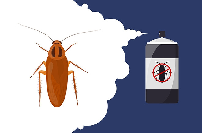 как избавиться от тараканов борной кислотой