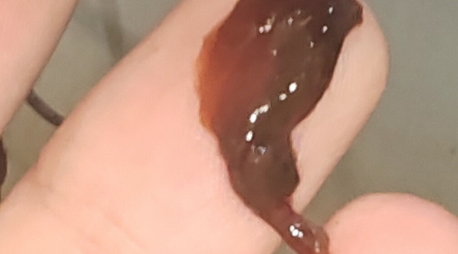 Что это?