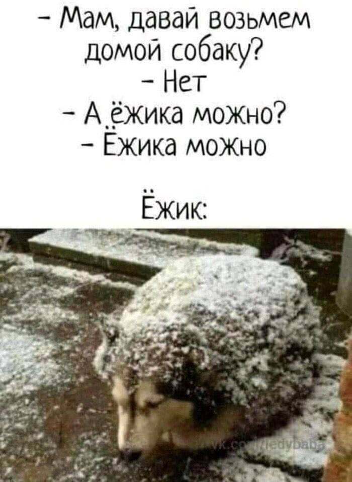 Для настроения)))