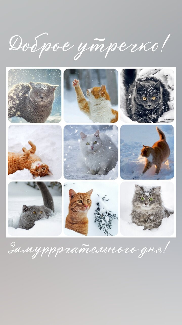 Добрейшее, пятница!