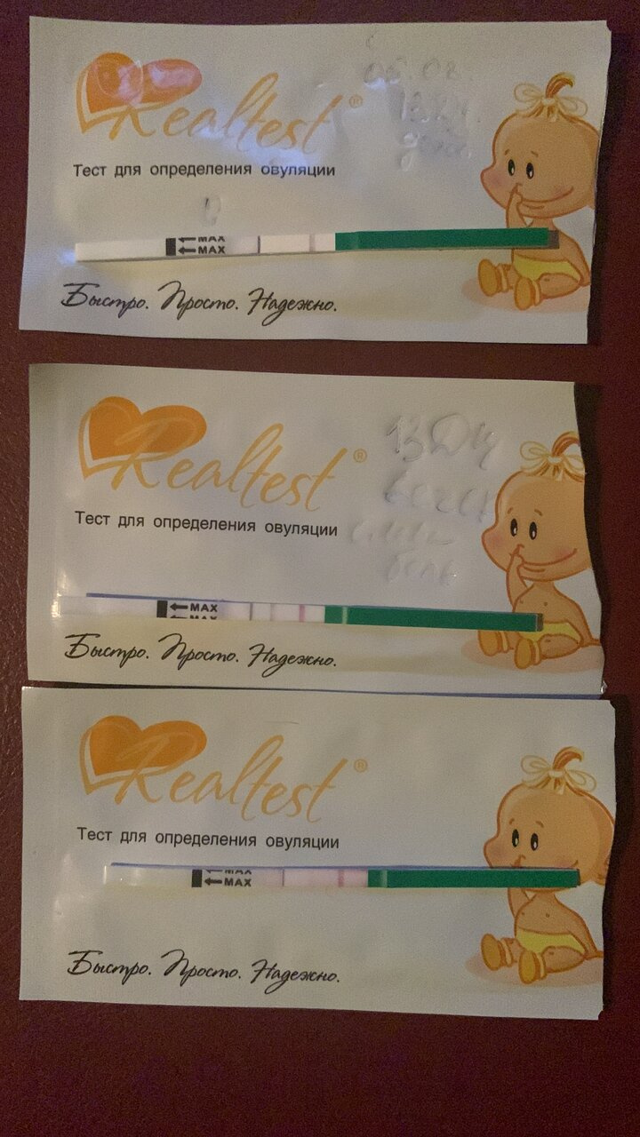 Как работают тесты на овуляцию? 🤔