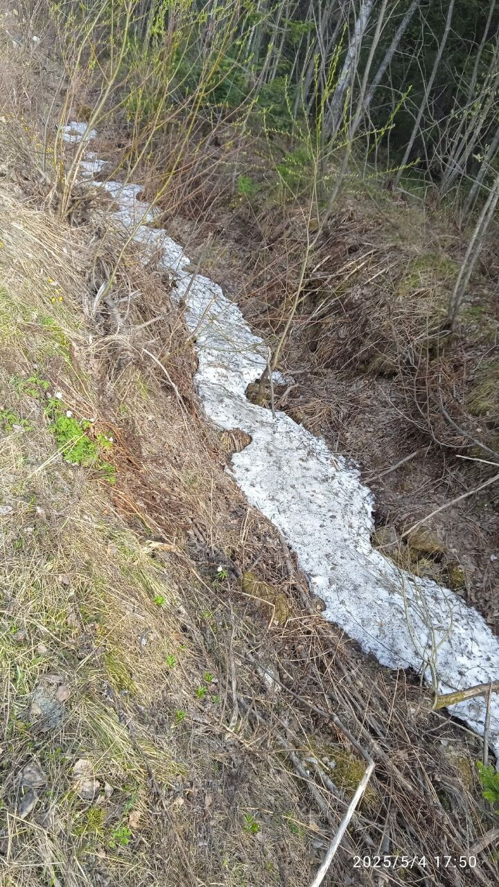 Ещё немного весны