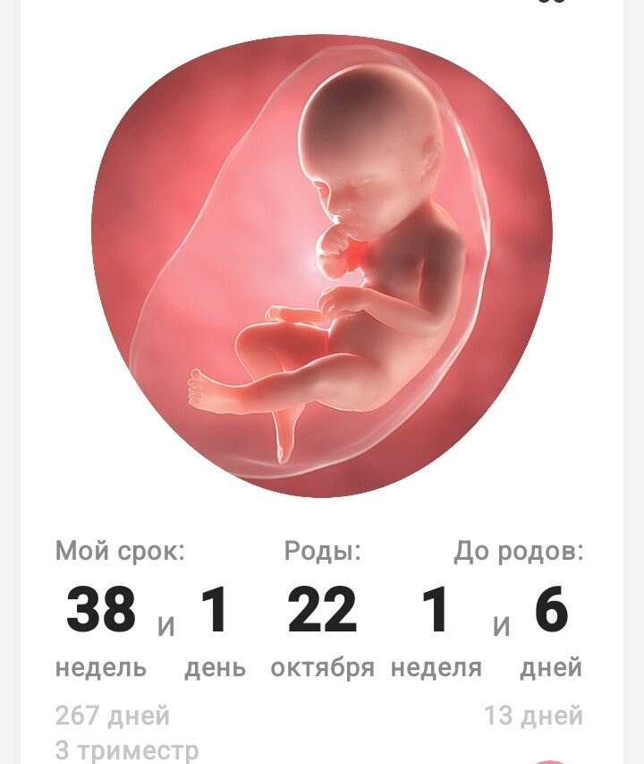 СЕГОДНЯ 37 НЕДЕЛЬ