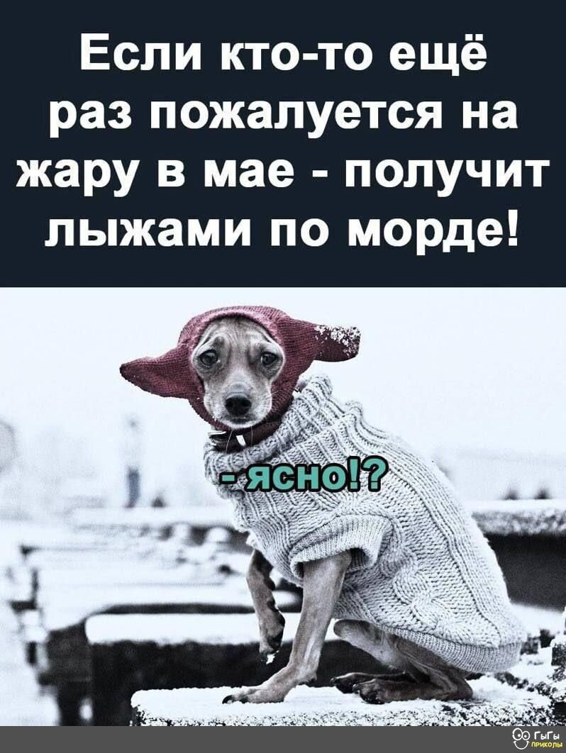 Люблю снежок в начале мая:)