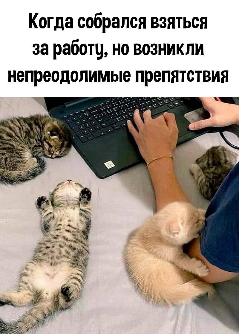 Какая работа больше всего выводит из равновесия?