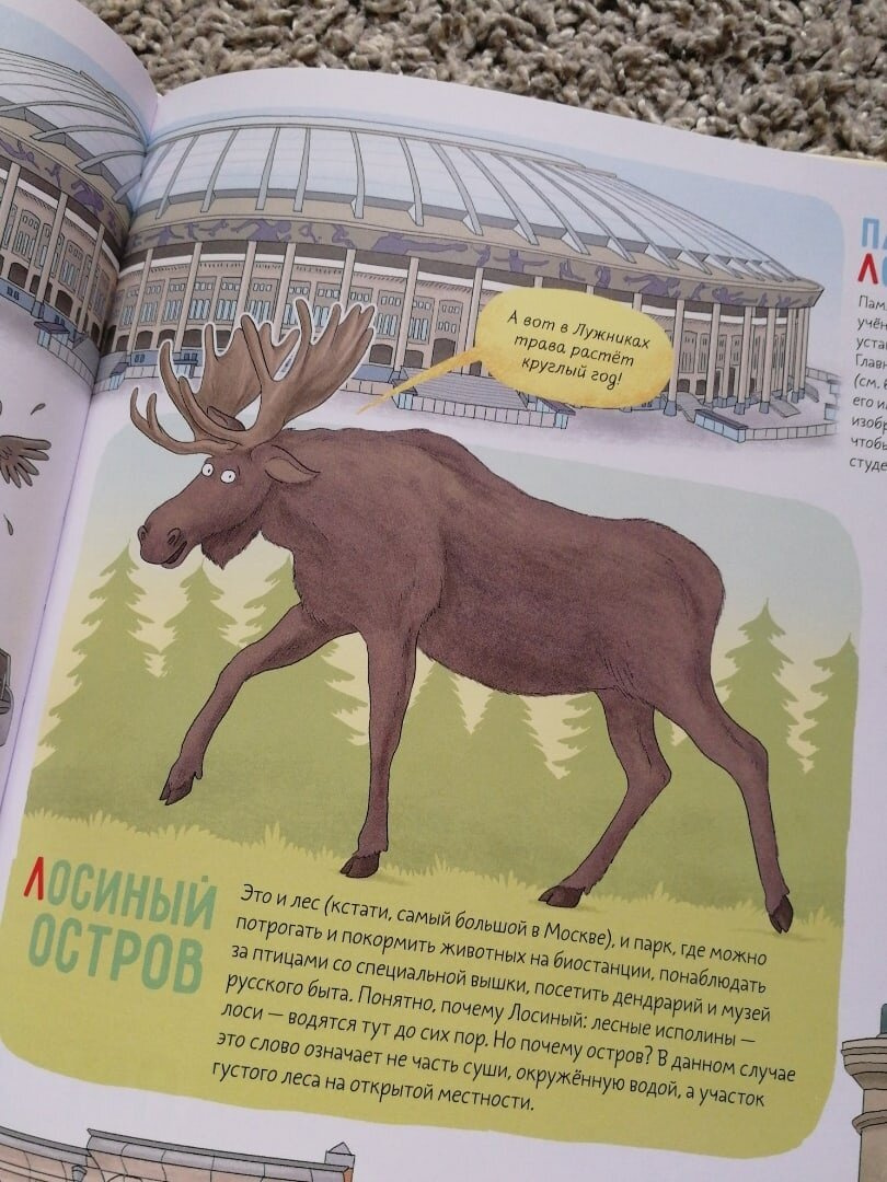 Отзыв от Белки - Книга "БУКВАЛЬНАЯ МОСКВА"