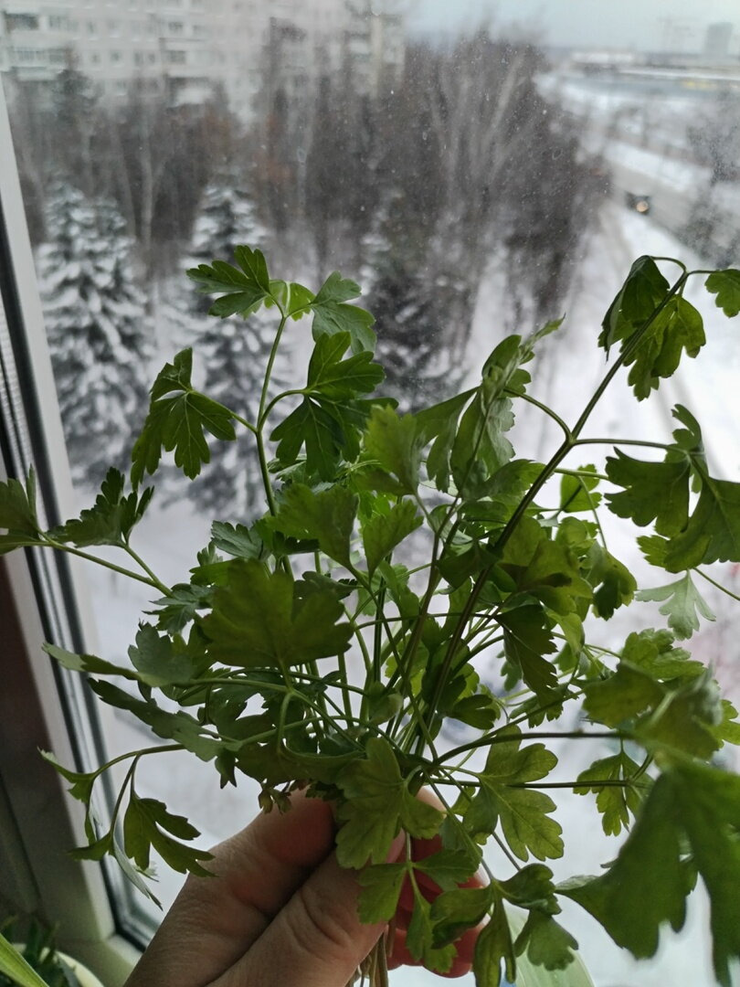 Новогодняя феечка летит)))