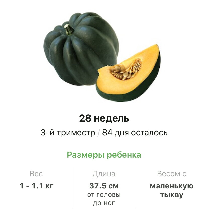 28 недель