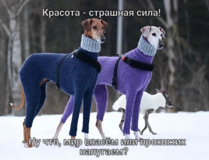 Сколько вы тратите на красоту в месяц?