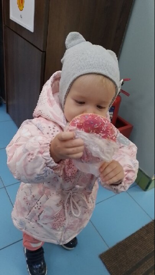 Сад в 1.10,адаптация