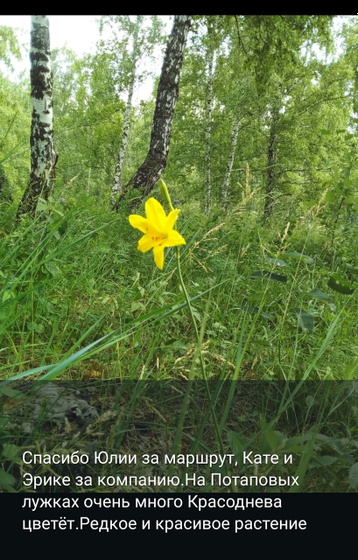 В день молодежи