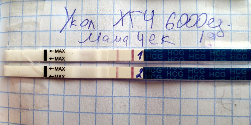 2 дпу. Тесты Мама Чек