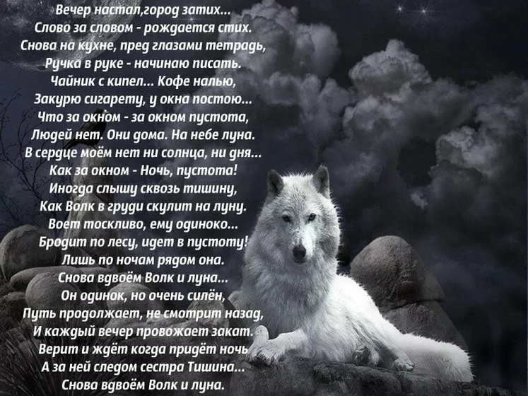 Стих волчица - красивый, за душу берёт