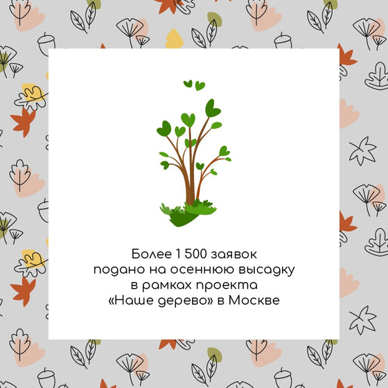 Сажали ли вы дерево в честь своей семьи?