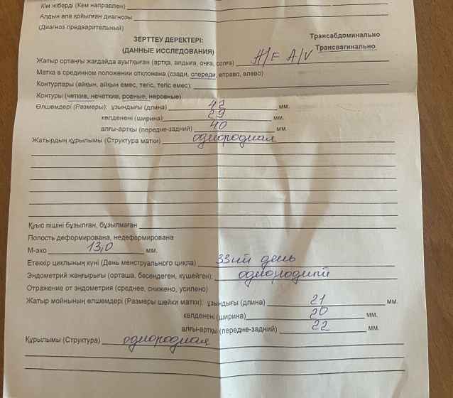 Добрый день.