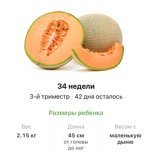 34 недели .