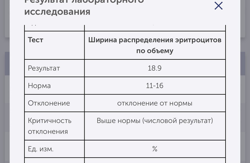 Добрый день.