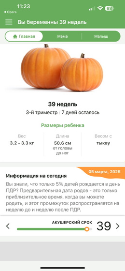 39 недель
