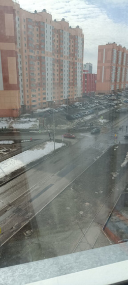 Штаны