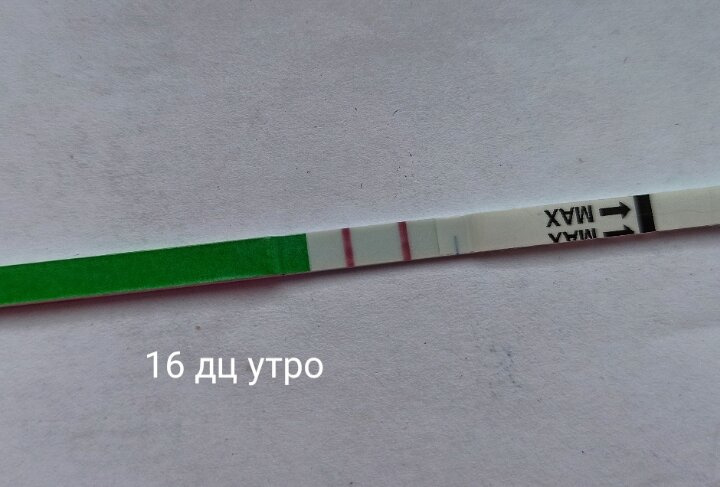 У вас долго полосатят