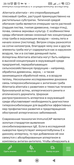 Анализы на аллергены. Как избавится от плесени?