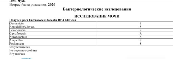 Блин