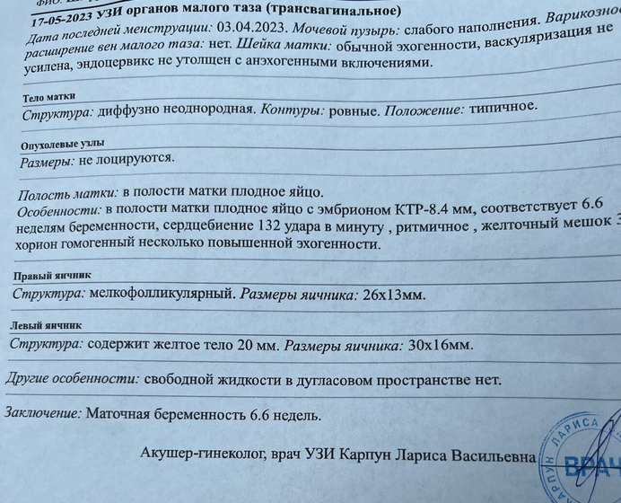 Фотография 2023-05-17 15:20:12