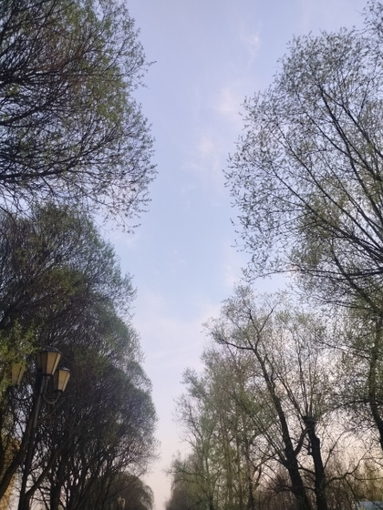 Добрый всем вечер 🌌