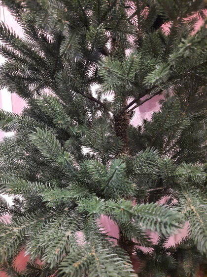 Найден компромисс! 🎄