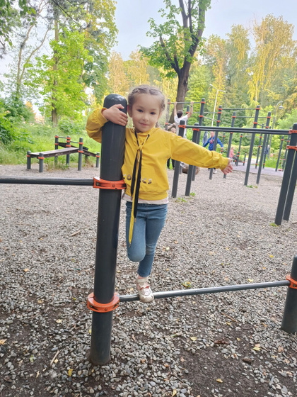 Подсолнухи.