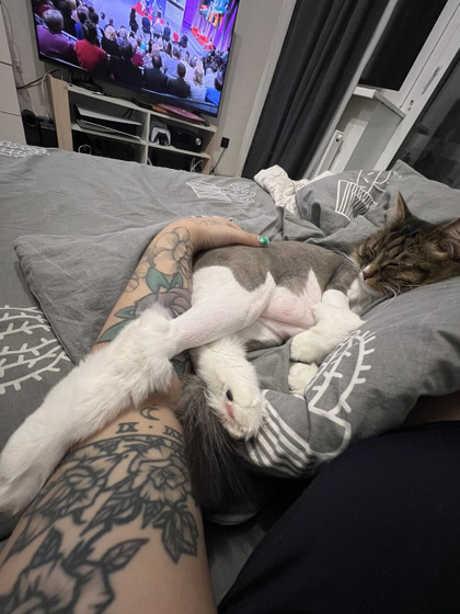 Споки ноки мамочки ❤️